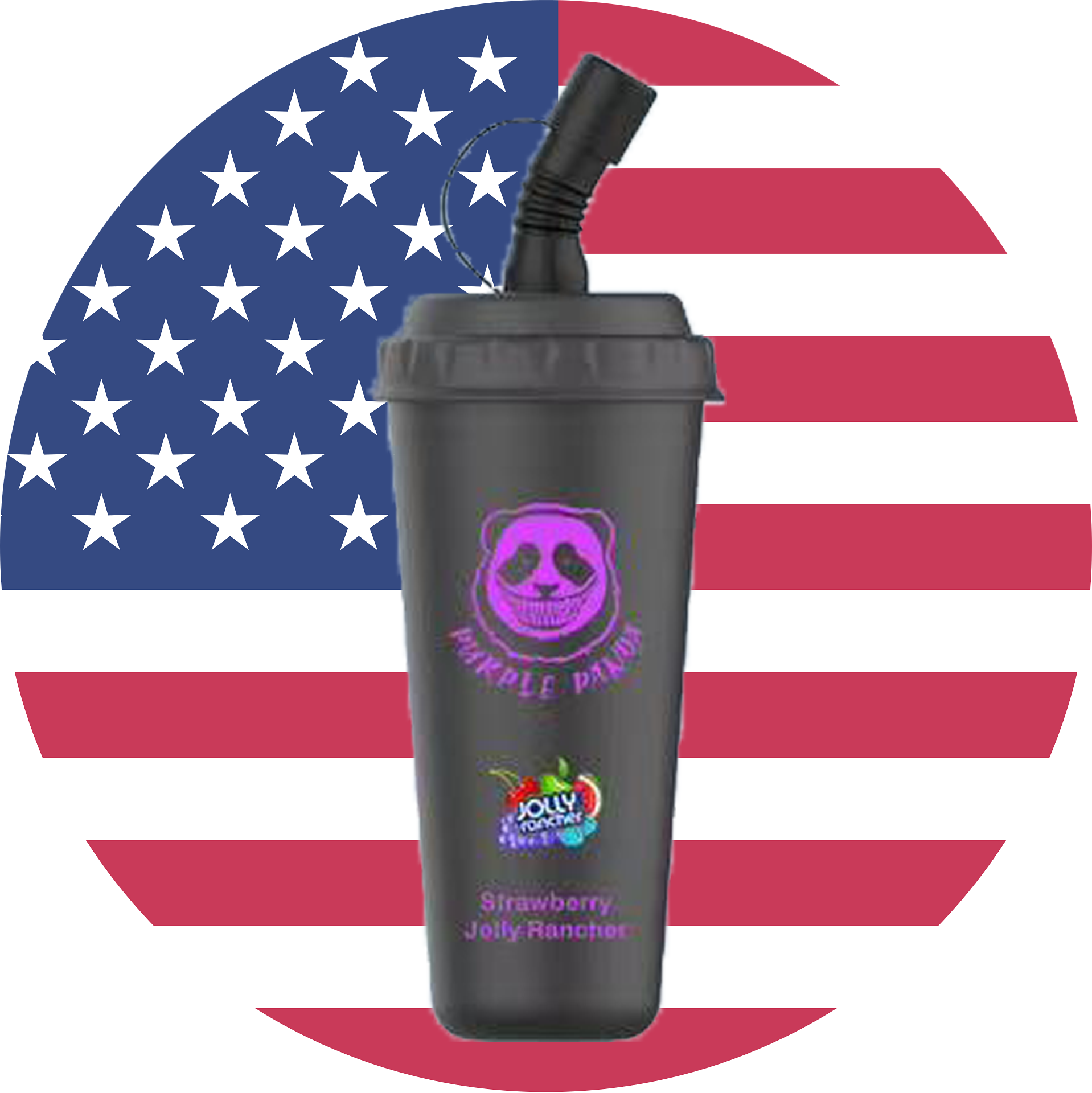 Purple Panda Labs Busted